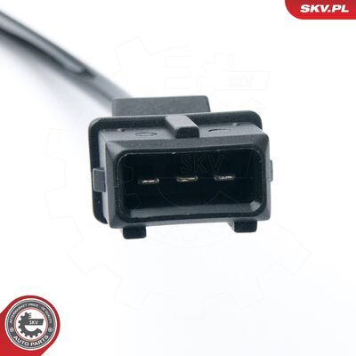 17SKV296