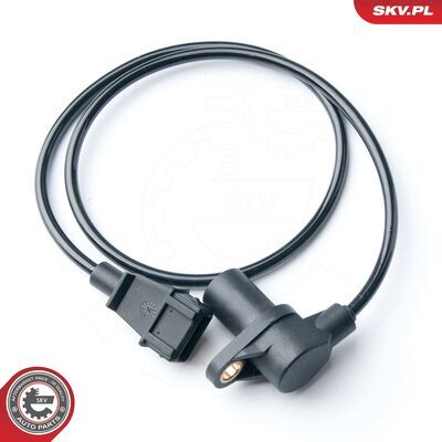 17SKV296