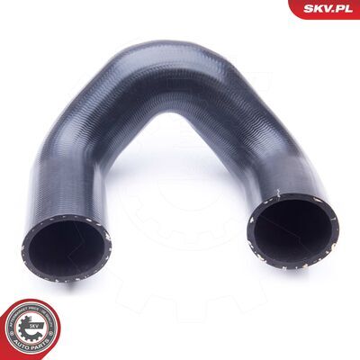 24SKV169