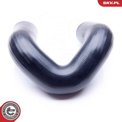 24SKV169