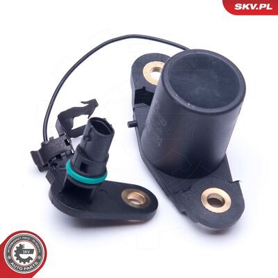 17SKV401