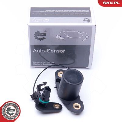 17SKV401
