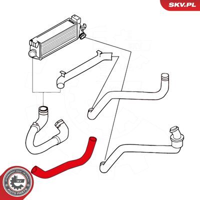 24SKV725