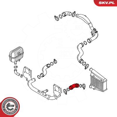 24SKV117