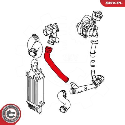 24SKV790