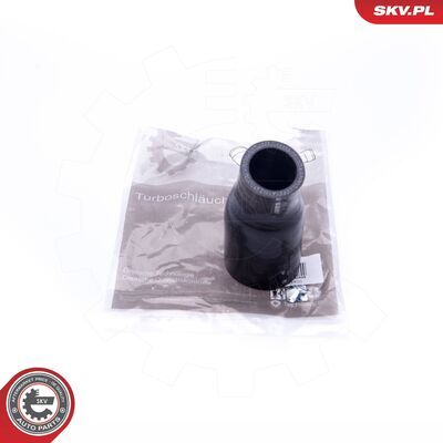 24SKV820