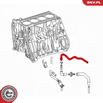 31SKV112