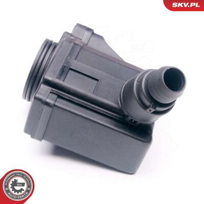 31SKV006