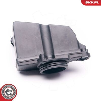 31SKV006