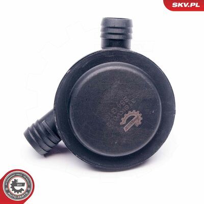 31SKV012