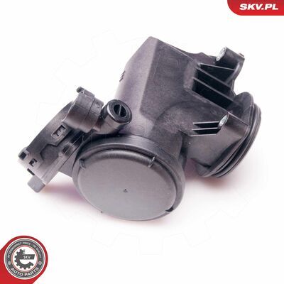 31SKV019