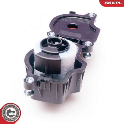 31SKV034