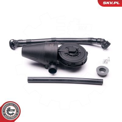 31SKV039