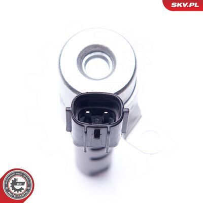 39SKV028