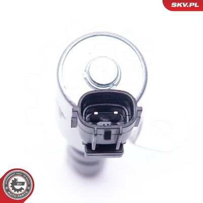 39SKV029