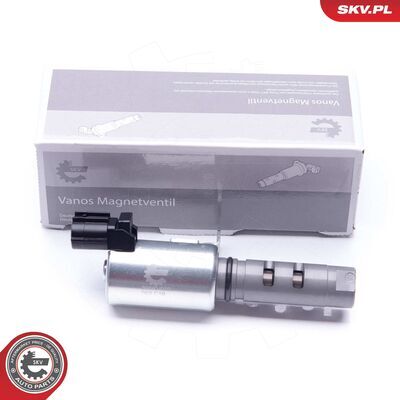 39SKV029