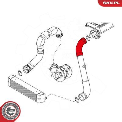 24SKV154