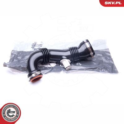 24SKV859