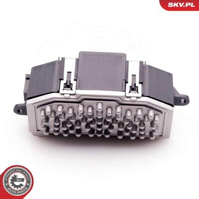 94SKV029