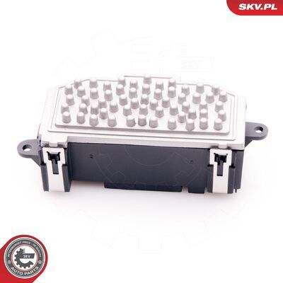 94SKV029