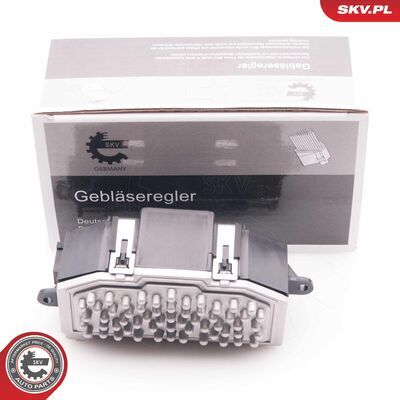 94SKV029