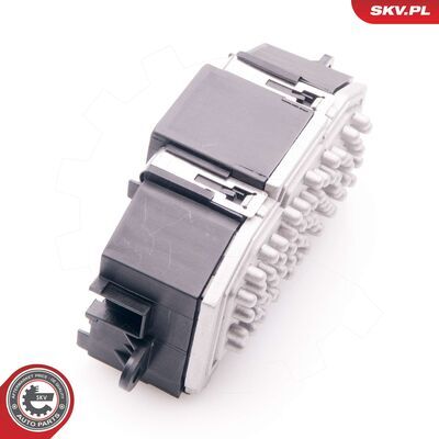 94SKV029