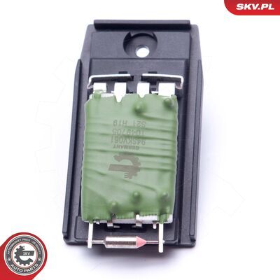 94SKV061