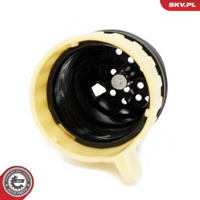 96SKV066