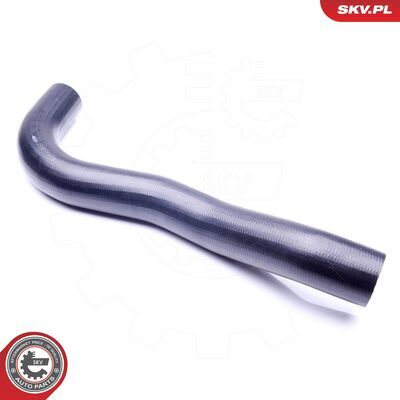 43SKV076