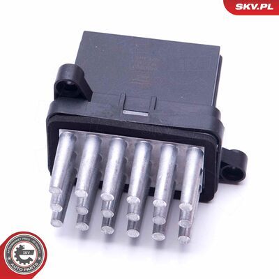 94SKV083