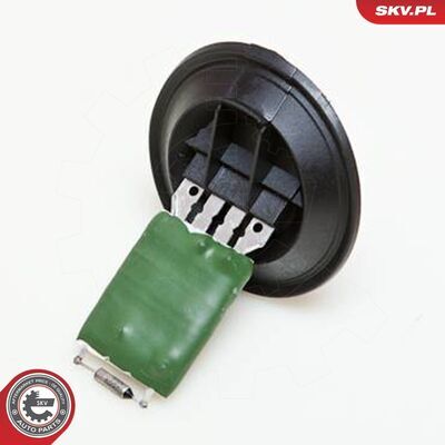 95SKV007