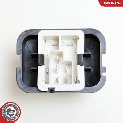 95SKV016