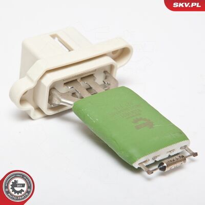 95SKV021