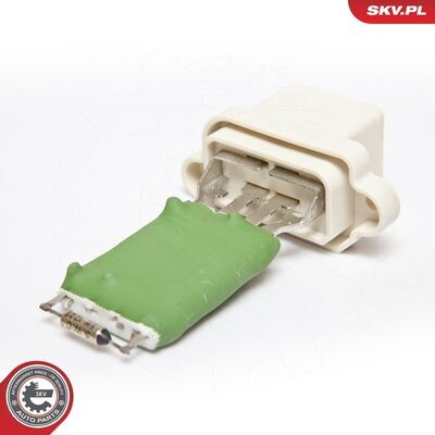 95SKV021