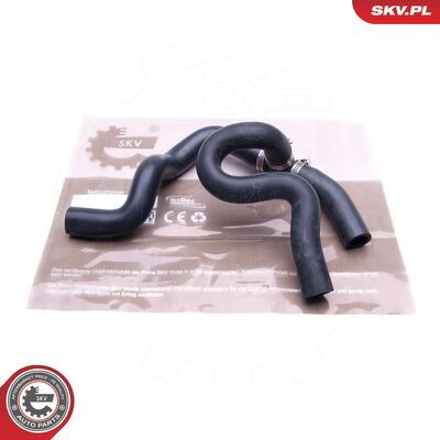 43SKV617