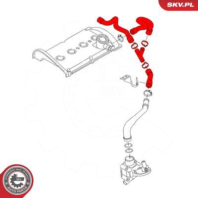 43SKV617