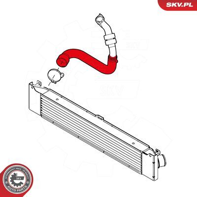 43SKV154