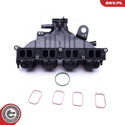 49SKV001