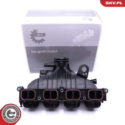 49SKV001