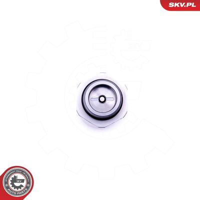 39SKV047