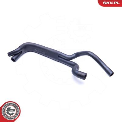 31SKV048