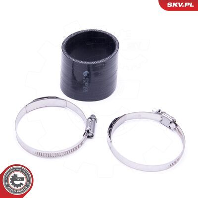 43SKV306