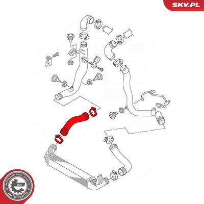 43SKV388
