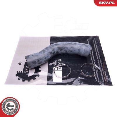 43SKV388