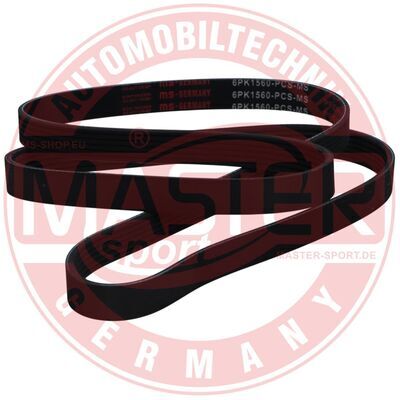 6PK1560-PCS-MS