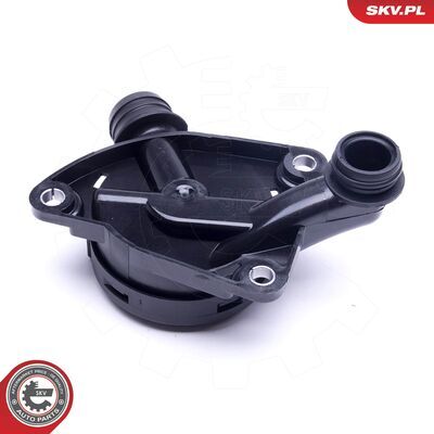31SKV156
