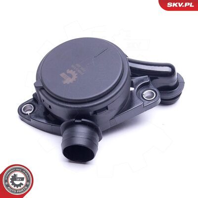 31SKV156