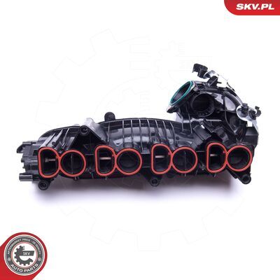 49SKV020