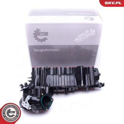 49SKV020