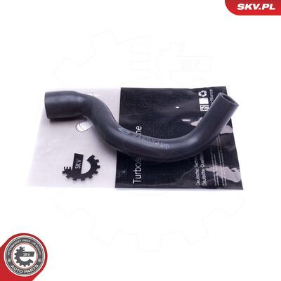 31SKV106